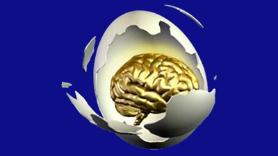 rendering on brain inside hatching egg